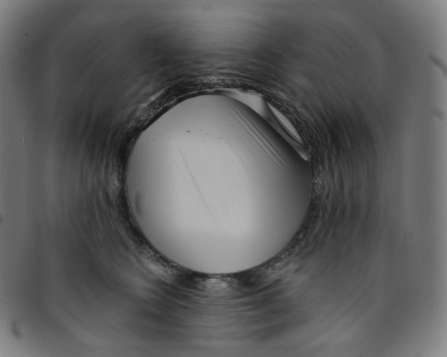 X0000095130566200801041249