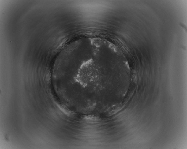 X0000095130568200801041249