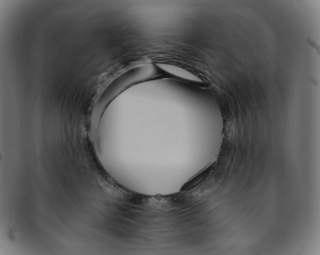 X0000095130570200801041249