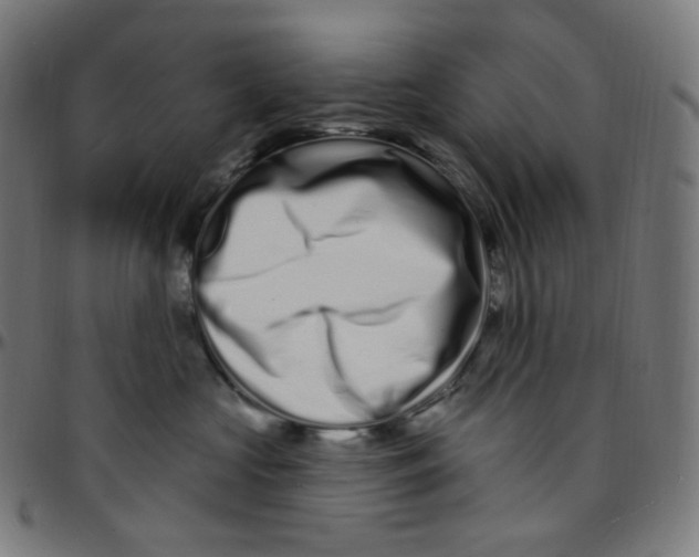 X0000095130573200801041249