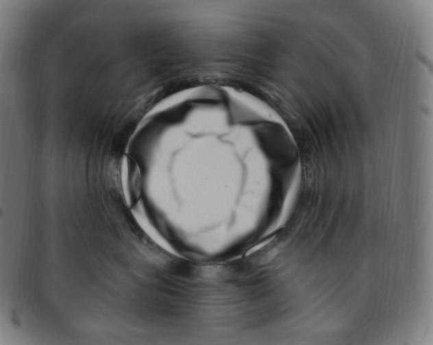 X0000095130575200801041249