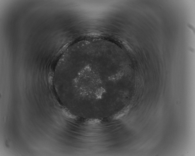 X0000095130576200801041250