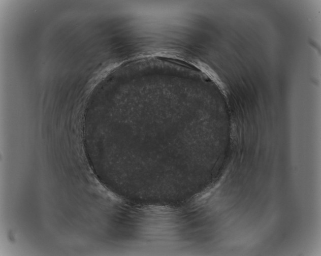 X0000095130577200801041249