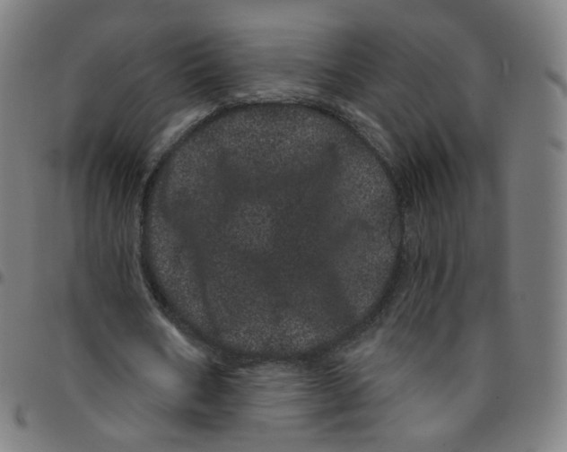 X0000095130578200801041249