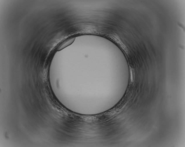 X0000095130579200801041249