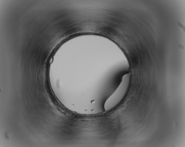 X0000095130580200801041249