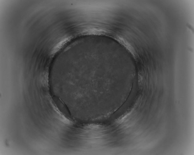 X0000095130581200801041249