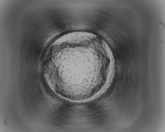 X0000095130583200801041249