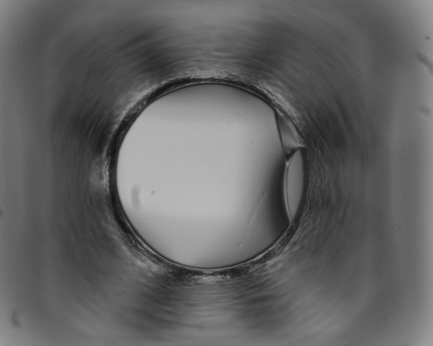 X0000095130584200801041249