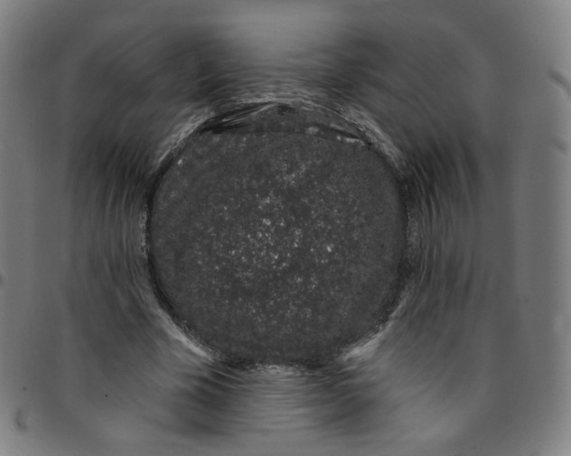 X0000095130585200801041249