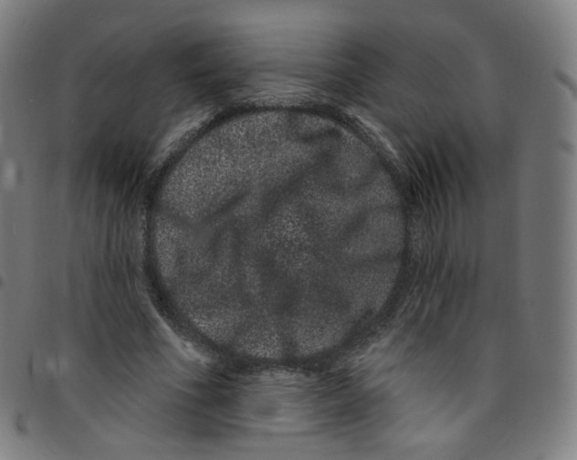 X0000095130586200801041249