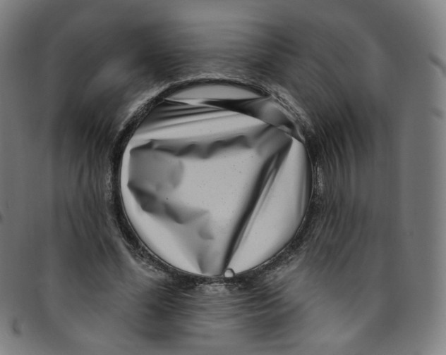 X0000095130588200801041249