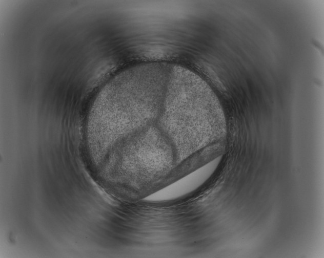 X0000095130590200801041249