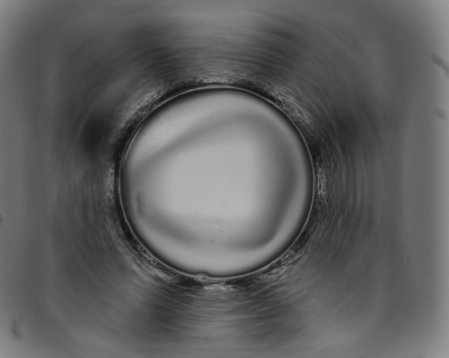 X0000095130591200801041249