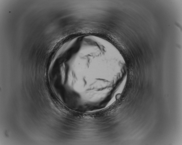 X0000095130592200801041249