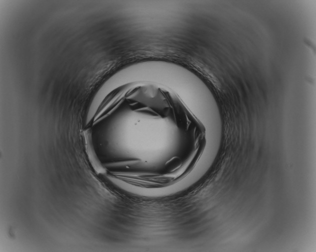 X0000095130593200801041249