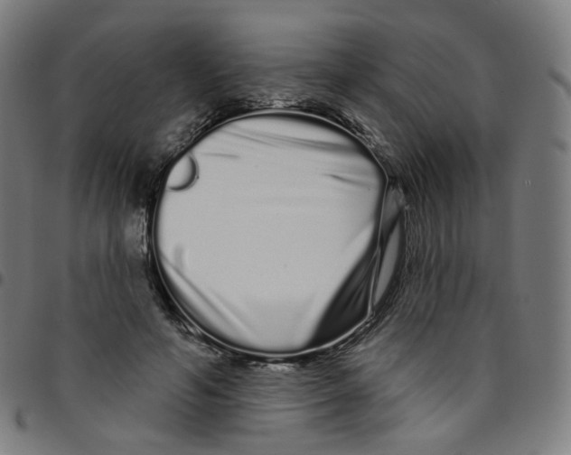 X0000095130594200801041249