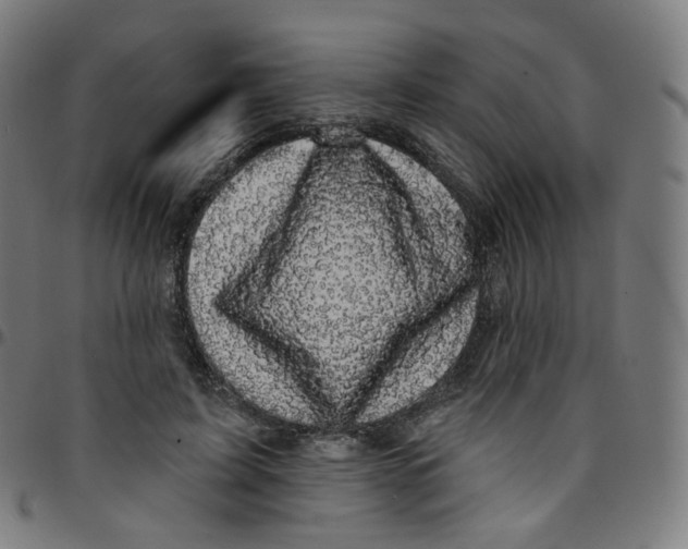 X0000095130595200801041249