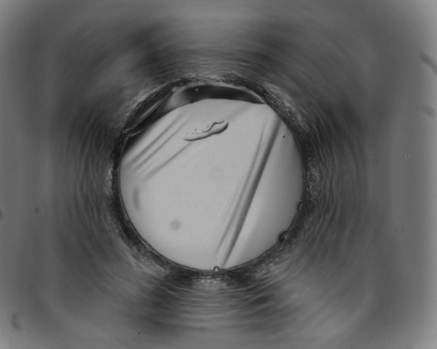 X0000095130596200801041249