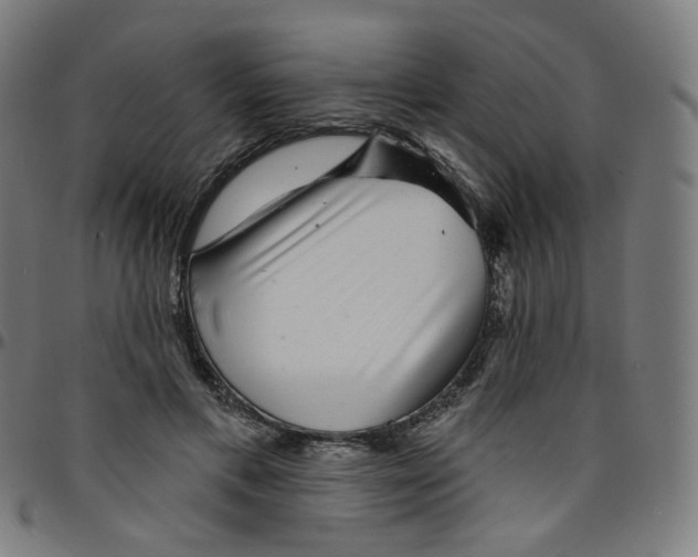 X0000095130597200801041249