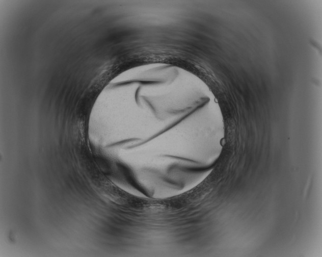 X0000095130598200801041249