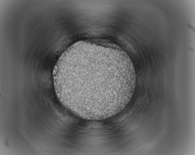 X0000095130599200801041249