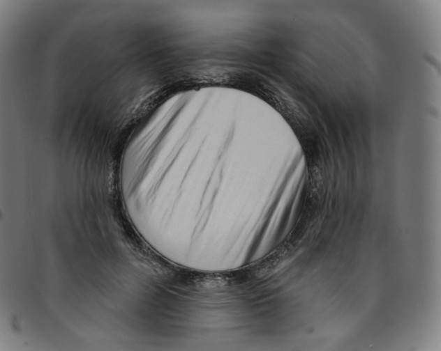 X0000095130600200801041249