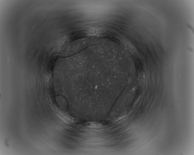 X0000095130601200801041249