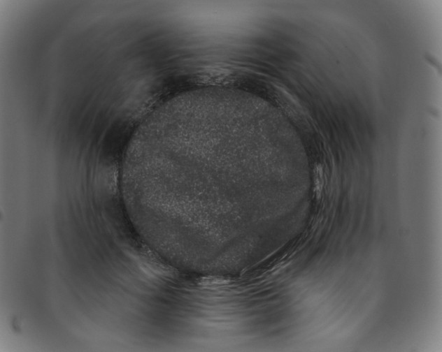 X0000095130602200801041248