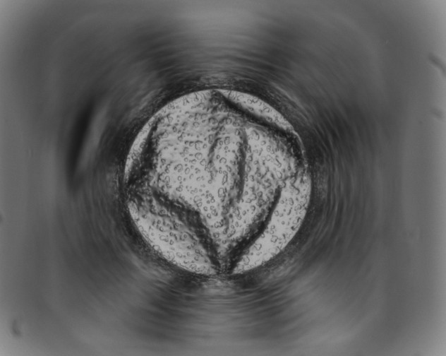 X0000095130603200801041248