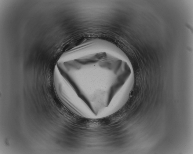 X0000095130604200801041248