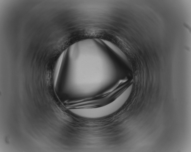 X0000095130605200801041248