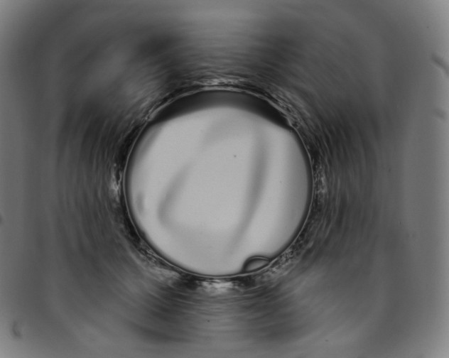 X0000095130607200801041248