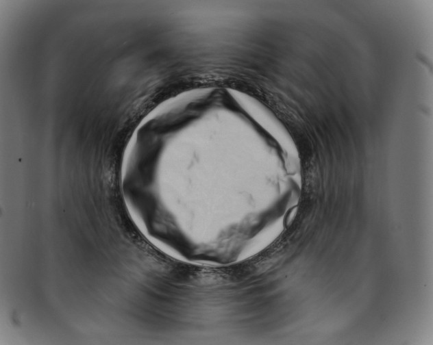 X0000095130608200801041248