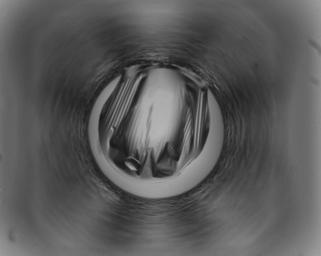 X0000095130609200801041248