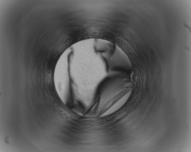 X0000095130610200801041248