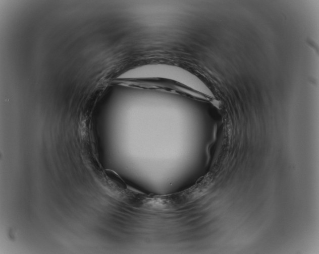 X0000095130611200801041248