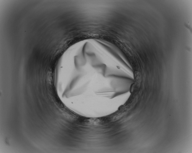 X0000095130612200801041248