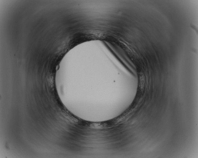 X0000095130613200801041248