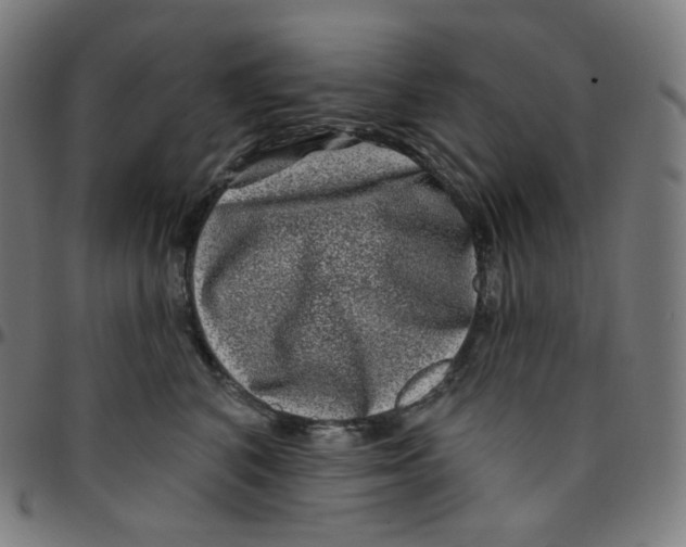 X0000095130616200801041248