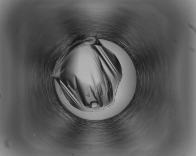 X0000095130617200801041248