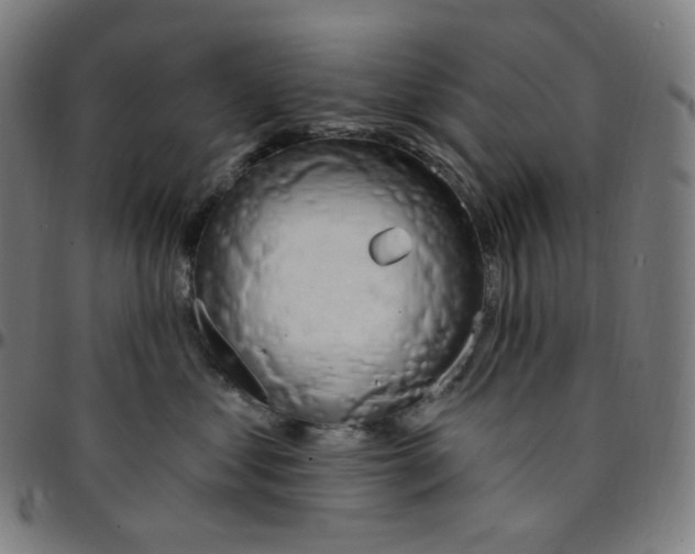 X0000095130621200801041248