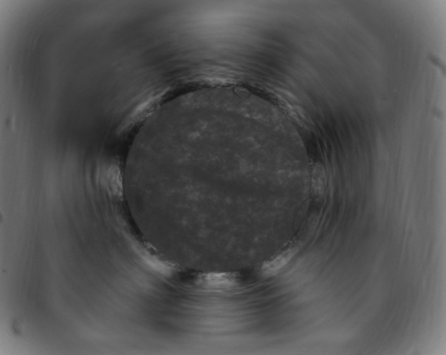 X0000095130622200801041248