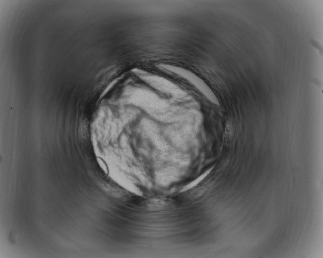 X0000095130623200801041248