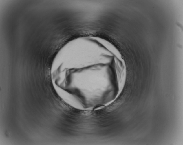 X0000095130624200801041248