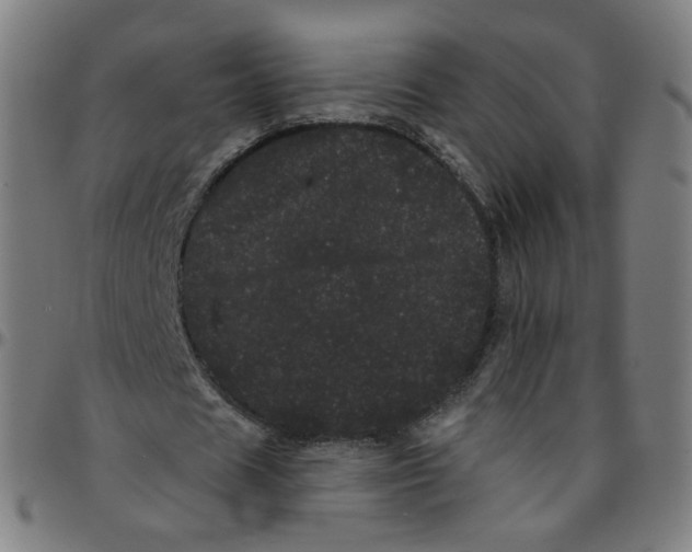 X0000095130625200801041247