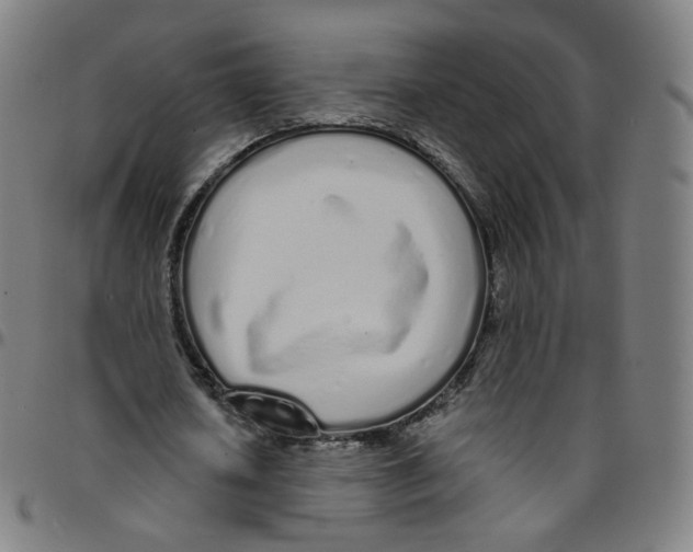 X0000095130626200801041247