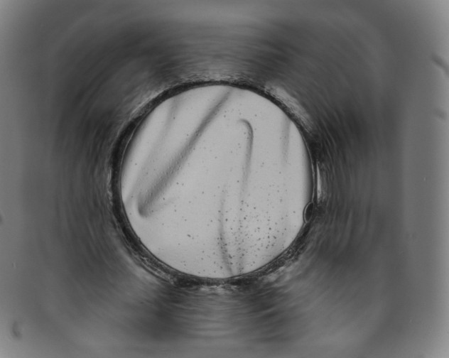 X0000095130627200801041247