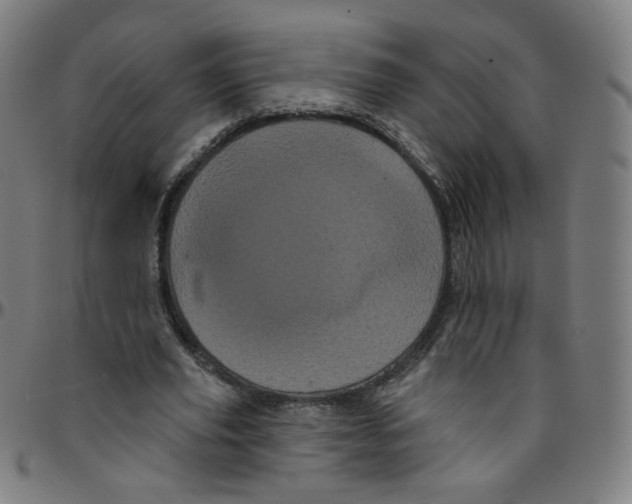 X0000095130629200801041247