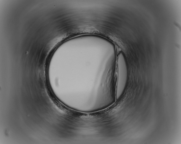 X0000095130630200801041247